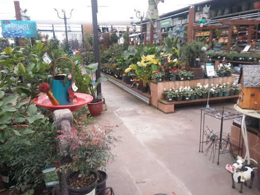 Hardware Store «Orchard Supply Hardware», reviews and photos, 1010 Metro Center Blvd, Foster City, CA 94404, USA