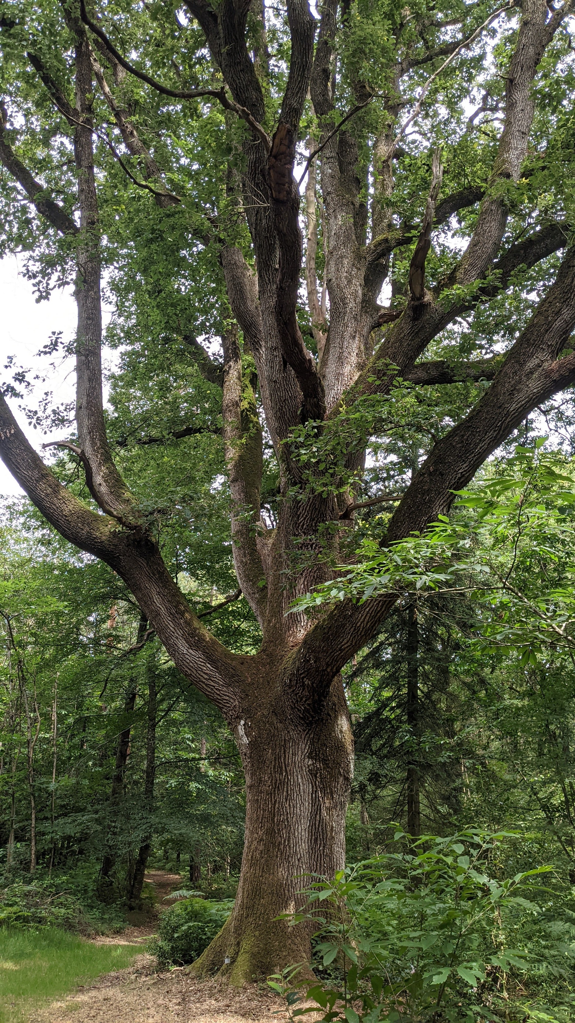 Photo n° 1 de l'avis de Michael. fait le 04/07/2021 à 18:01
