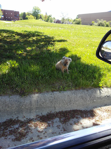 Recreation Center «Heilmann Recreation Center», reviews and photos, 19601 Crusade St, Detroit, MI 48205, USA