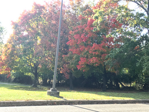 Park «Thomas A. Edison Park», reviews and photos, N Patrol Rd, Edison, NJ 08837, USA