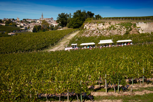 Train des Grands Vignobles à Saint-Émilion
