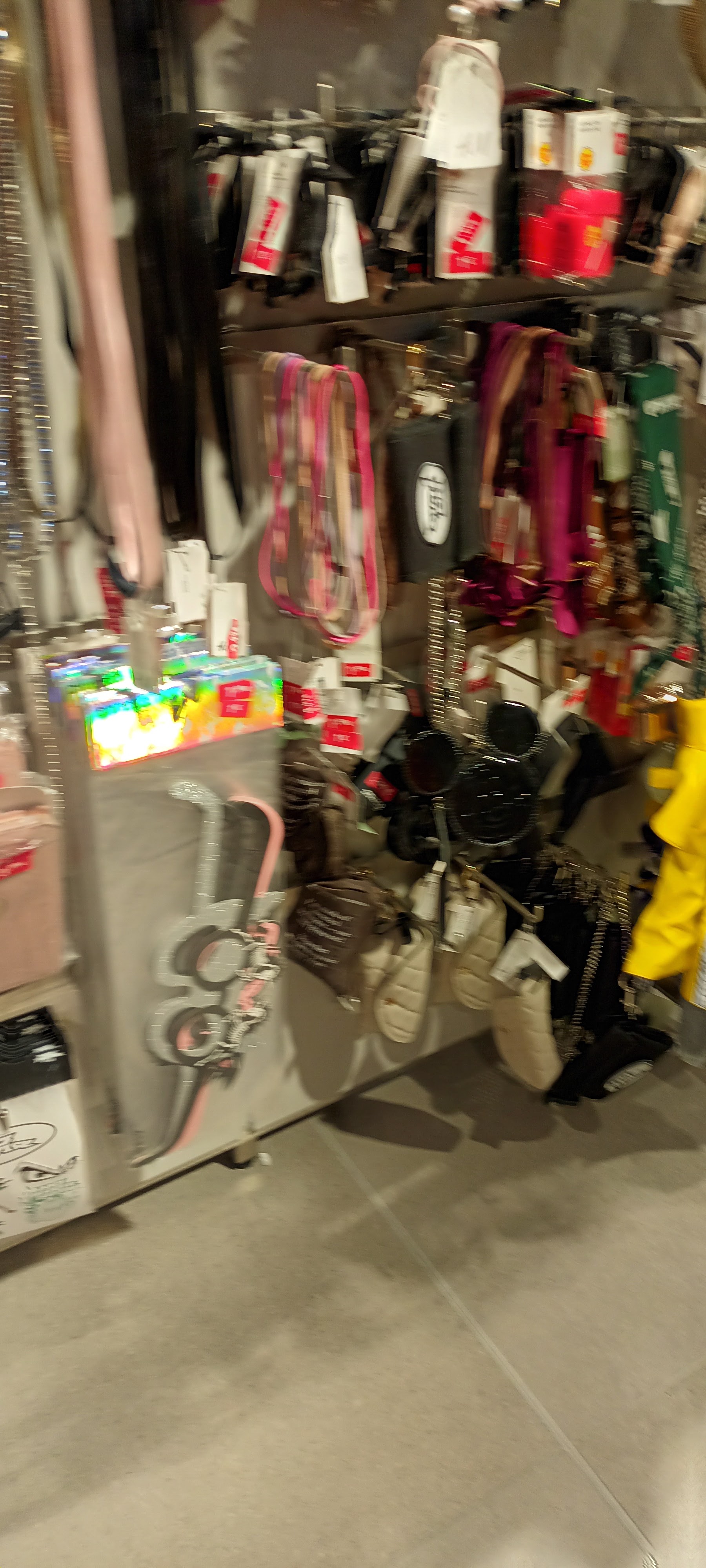 Photo n° 30 de l'avis de Bibiche.a fait le 04/02/2022 à 14:44