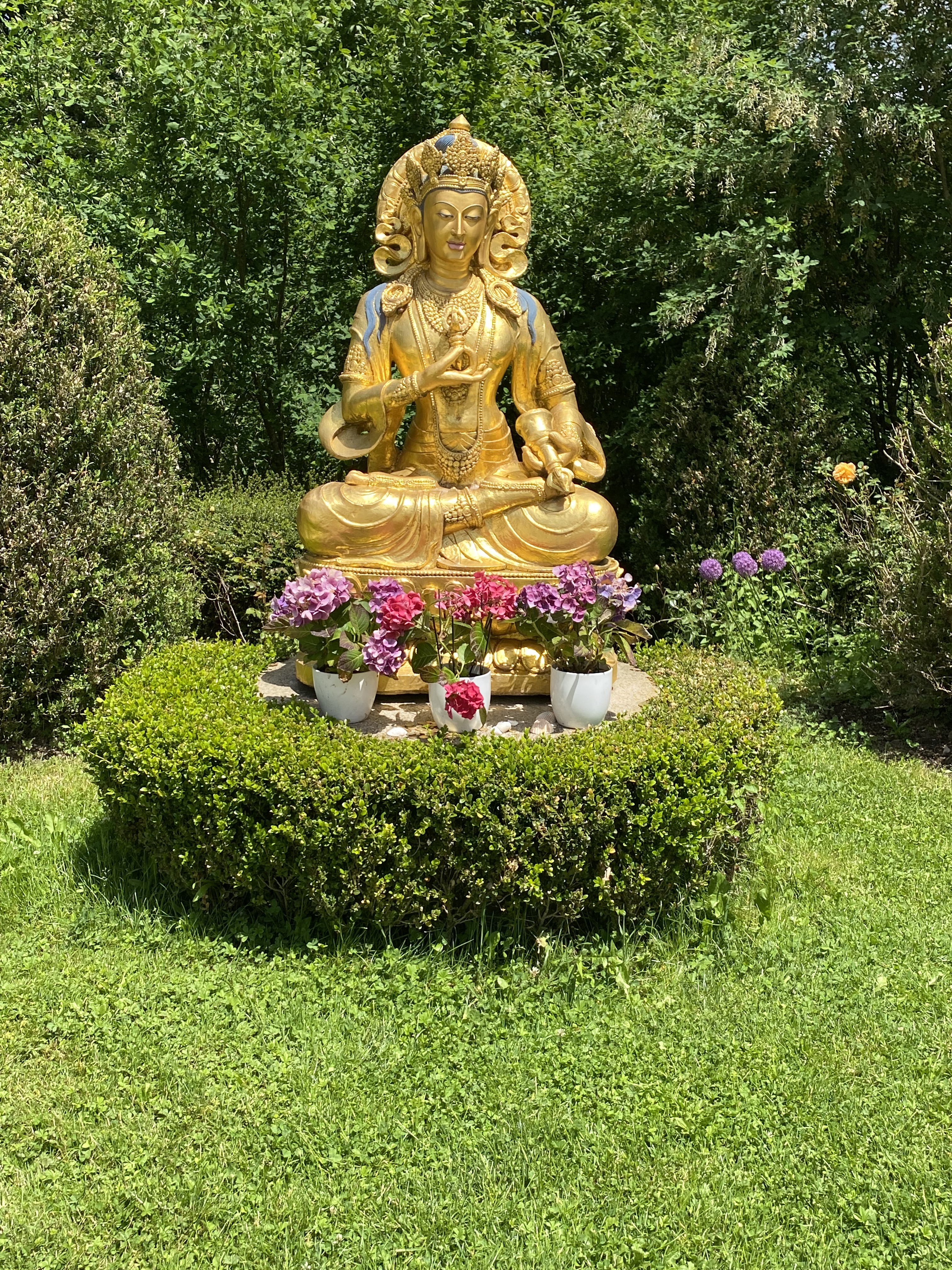 Photo n° 8 de l'avis de Aline. fait le 04/06/2023 à 18:19