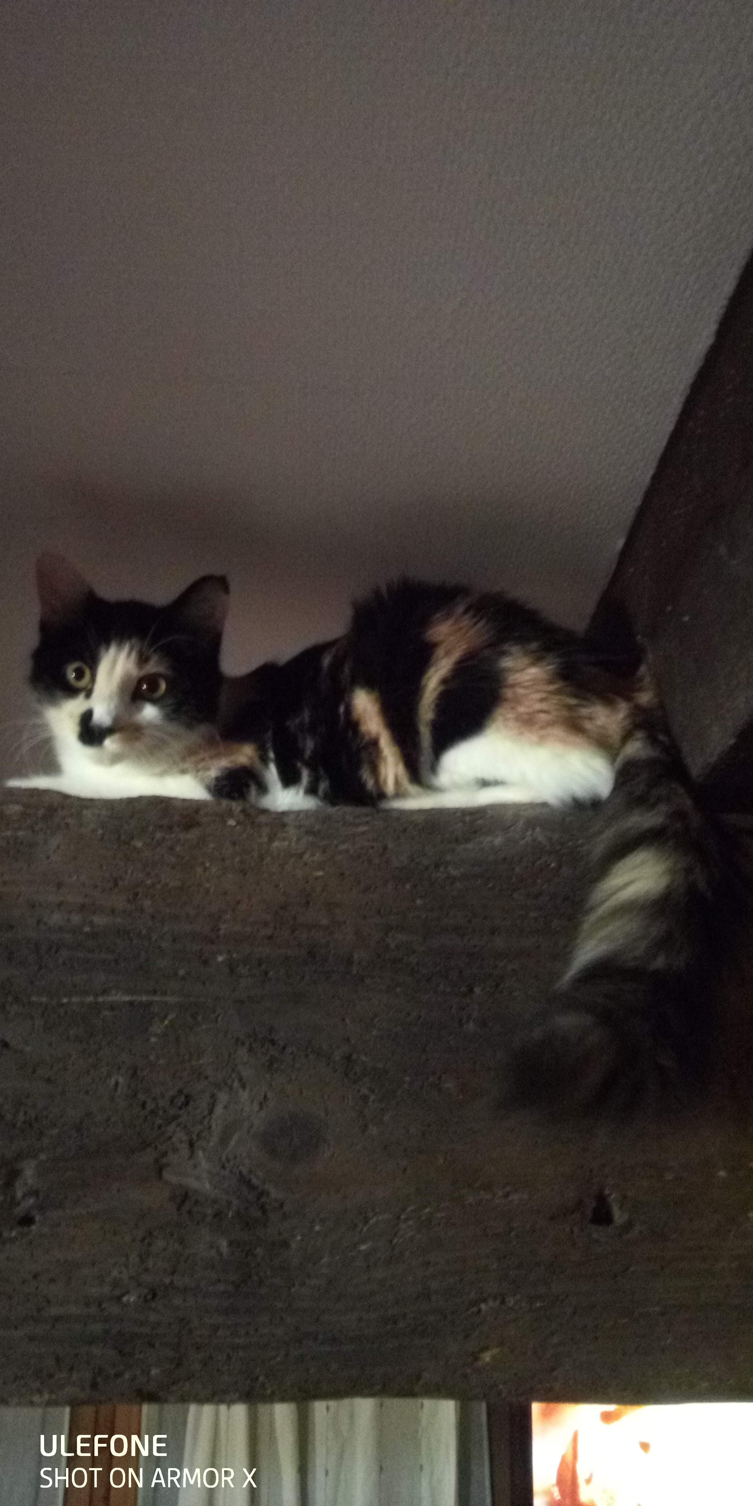 Photo n° 1 de l'avis de Beber.p fait le 24/12/2019 à 12:16