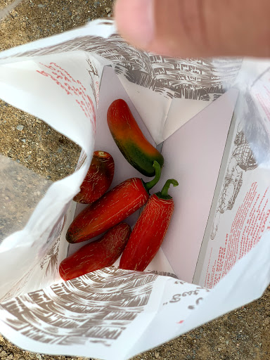 Orchard «Barton Orchards - Noxon Road Store Open Year Round - The Farm is CLOSED for the Season.», reviews and photos, 63 Apple Tree Ln, Poughquag, NY 12570, USA