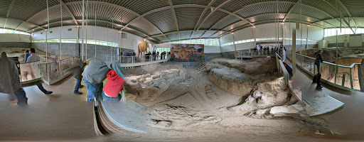 National Park «Waco Mammoth National Monument», reviews and photos, 6220 Steinbeck Bend Dr, Waco, TX 76708, USA