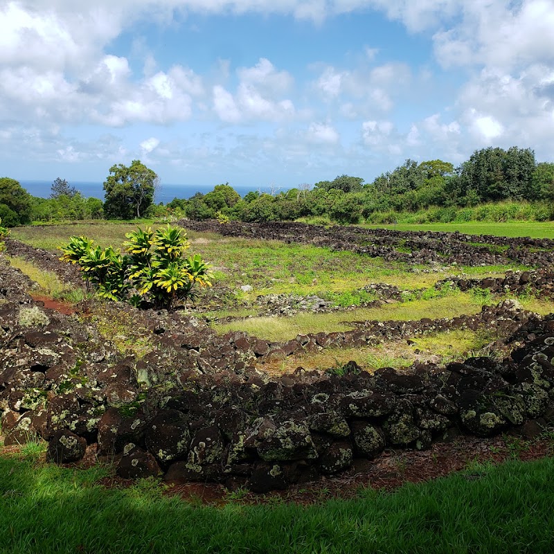 Pu'u O Mahuka Heiau State Historic Site