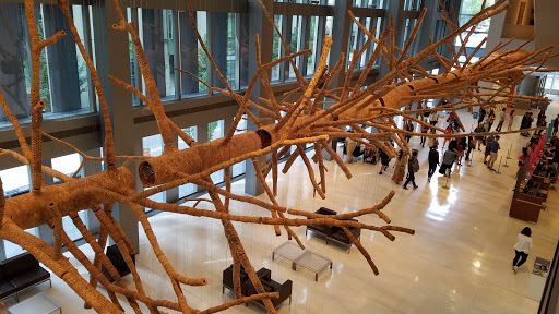 Art Gallery «SAM Gallery», reviews and photos, 1300 1st Ave, Seattle, WA 98101, USA