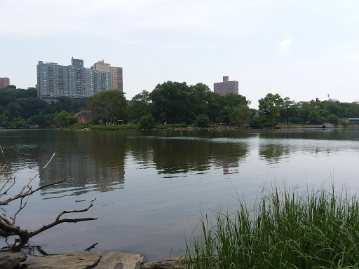 Park «Inwood Hill Park», reviews and photos, Dyckman St, New York, NY 10452, USA