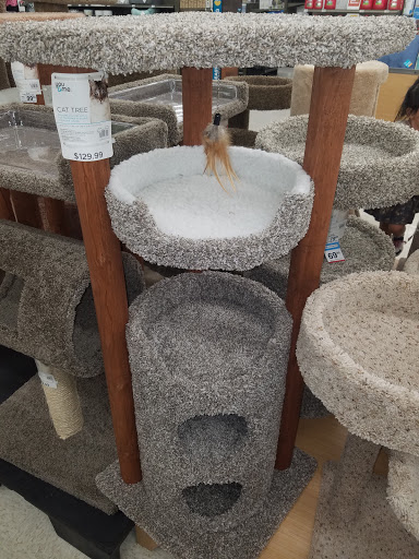 Pet Supply Store «Petco Animal Supplies», reviews and photos, 1824 E Katella Ave, Orange, CA 92867, USA