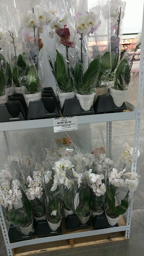 Warehouse club «BJ’s Wholesale Club», reviews and photos, 66-26 Metropolitan Ave, Middle Village, NY 11379, USA