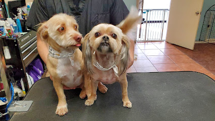 A Shampoochies dog grooming and Spa llc