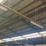 Photo n°3 de l'avis de Nina.� fait le 24/07/2023 à 09:47 sur le  Ferienhof Frieslandstern - Ute Eden e.Kfr. à Wangerland