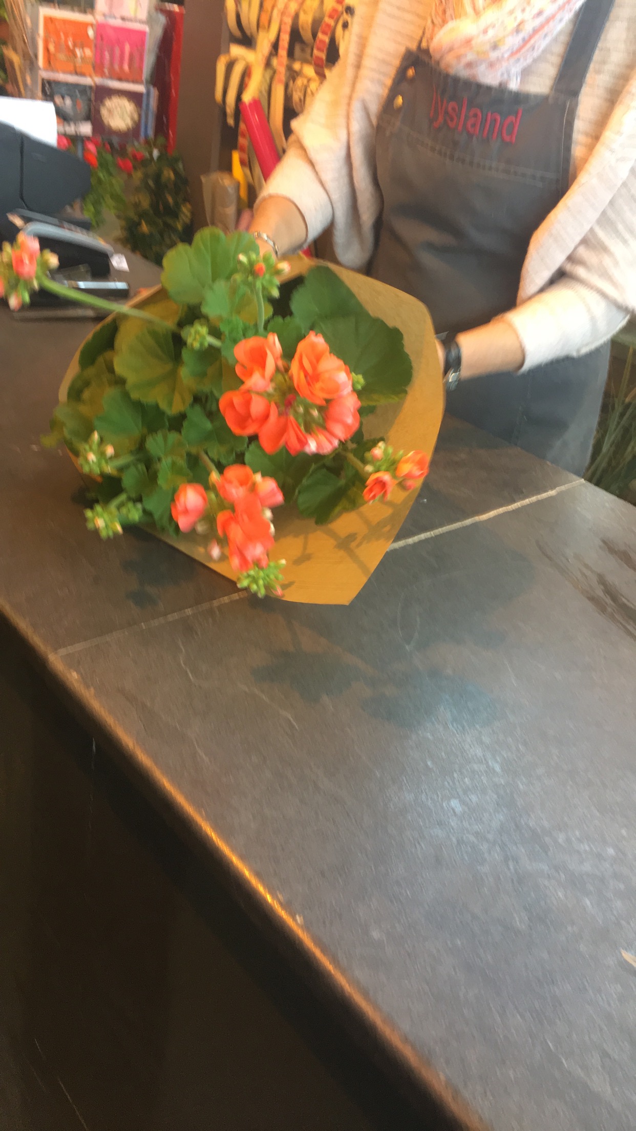 Photo n° 1 de l'avis de Angelique. fait le 15/05/2018 à 13:21