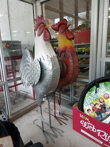 Home Improvement Store «Tractor Supply Co.», reviews and photos, 2300 N Woodland Blvd, DeLand, FL 32720, USA