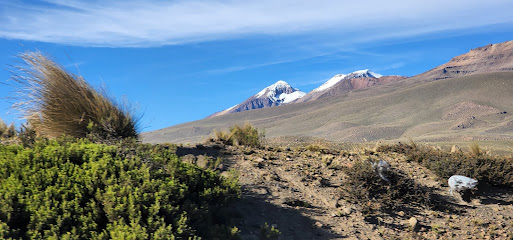 Reserva Nacional Pampa Cañahuas