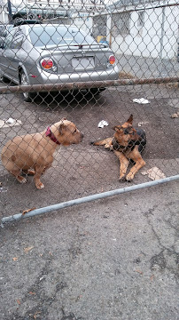 E Mecca Auto Sales - Photo 7 - Car repair in Newark, NJ, Newark