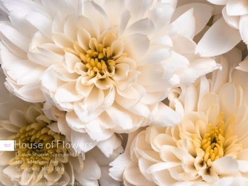 Florist «House of Flowers», reviews and photos, 1921 S National Ave, Springfield, MO 65804, USA