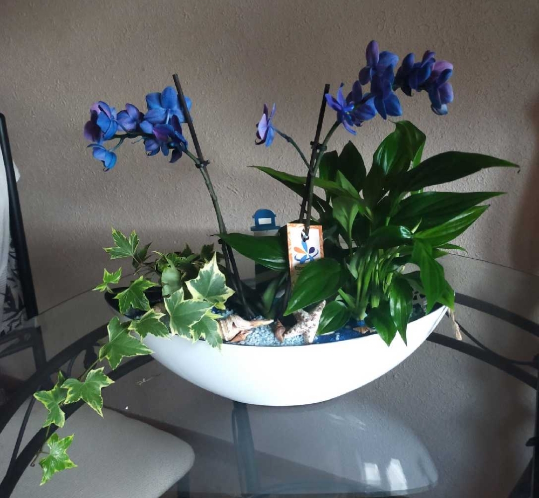 Photo n° 1 de l'avis de thomas68ize. fait le 04/02/2023 à 04:29