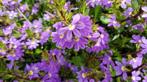 History Museum «Olinda Oil Museum & Trail», reviews and photos, 4025 E Santa Fe Rd, Brea, CA 92823, USA