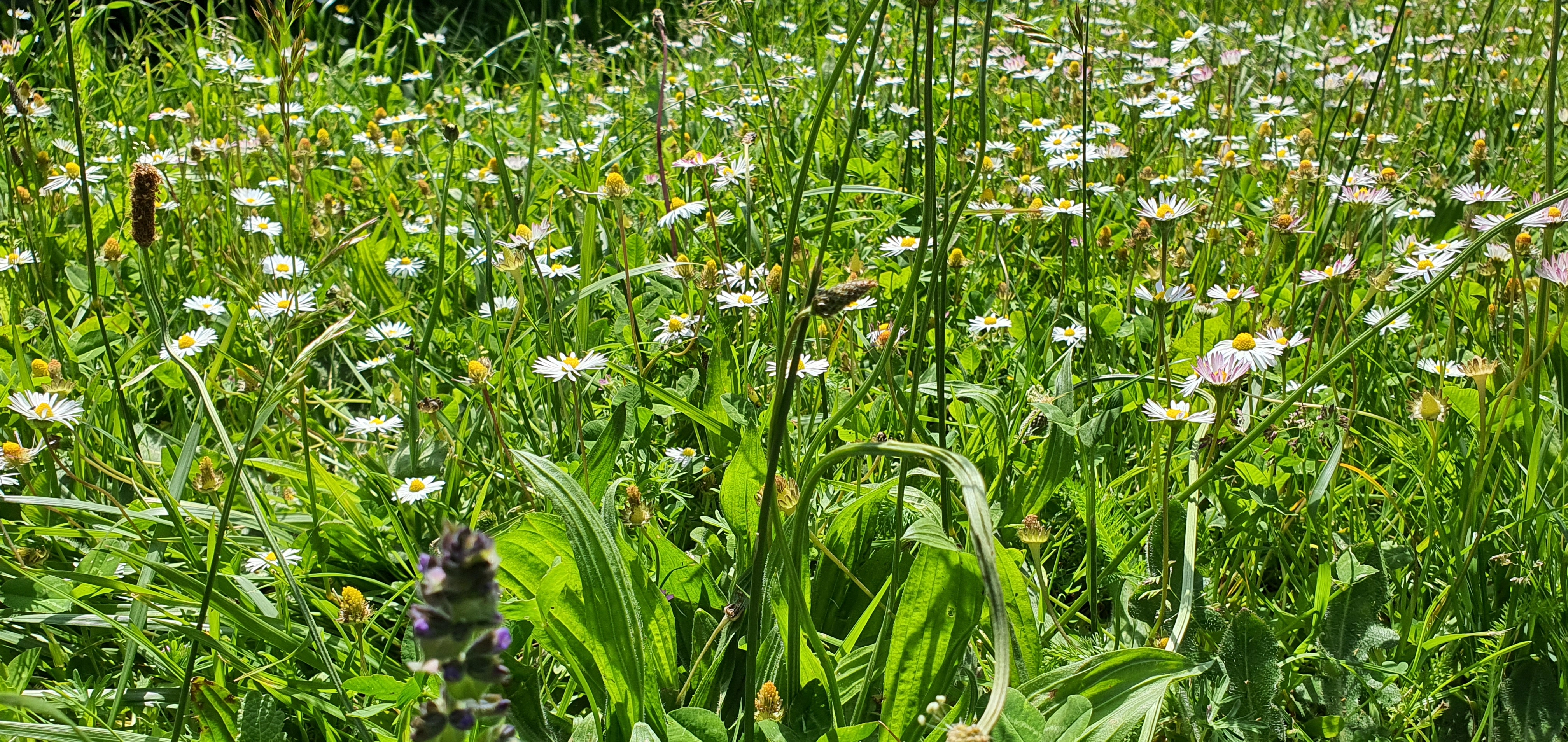 Photo n° 3 de l'avis de Elisa. fait le 04/06/2021 à 11:27