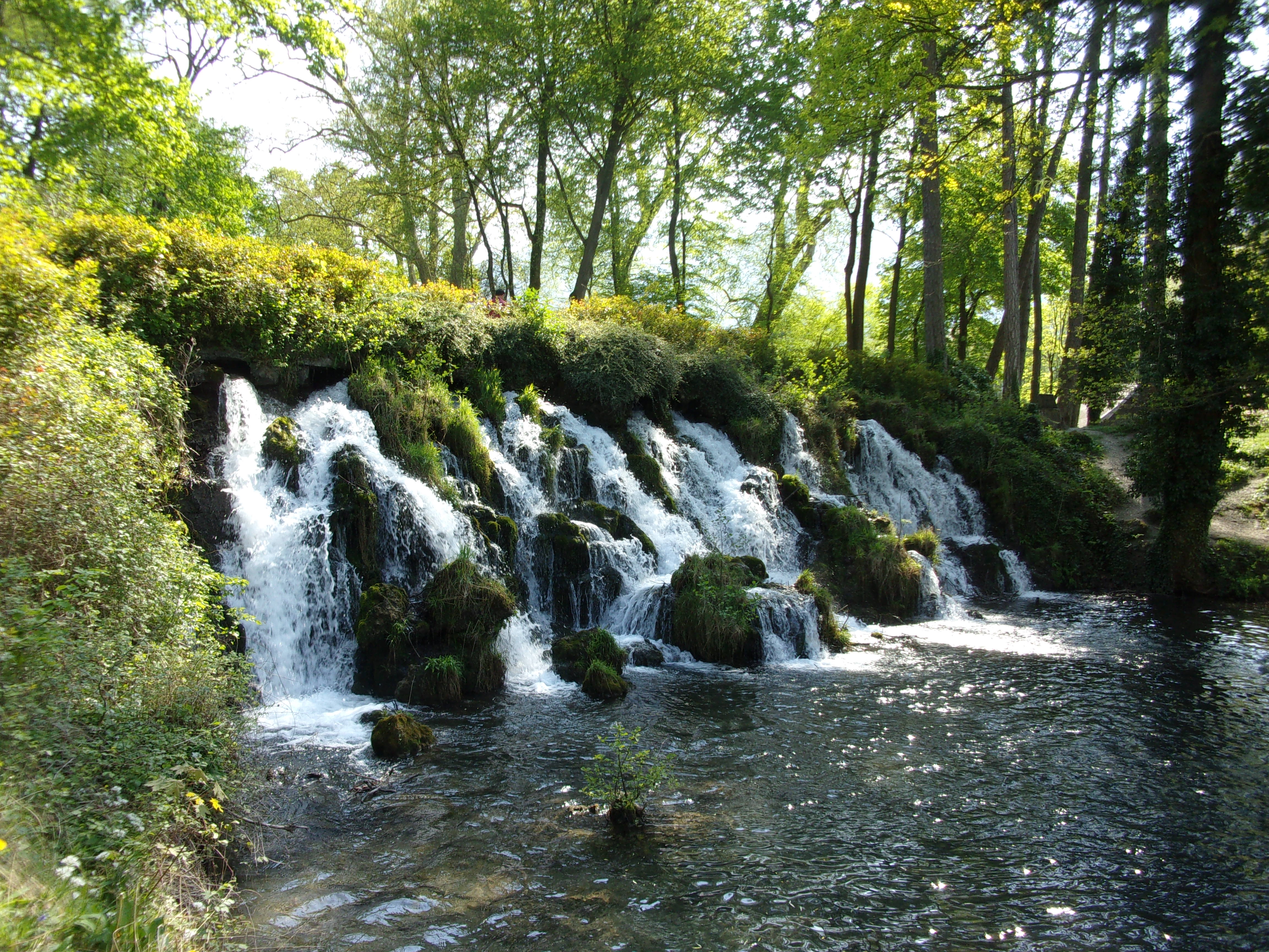 Photo n° 6 de l'avis de MICHEL. fait le 30/05/2023 à 21:09