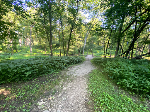 Nature Preserve «Messenger Woods Nature Preserve», reviews and photos, 13800 W Bruce Rd, Homer Glen, IL 60491, USA