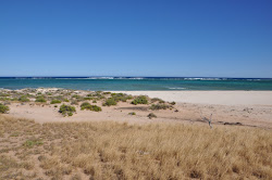 Tulki Beach'in fotoğrafı çok temiz temizlik seviyesi ile