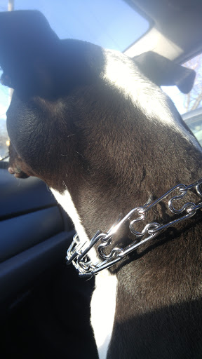 Pet Supply Store «Pet Supplies Plus», reviews and photos, 400 Lowell Ave Suite 14, Haverhill, MA 01832, USA