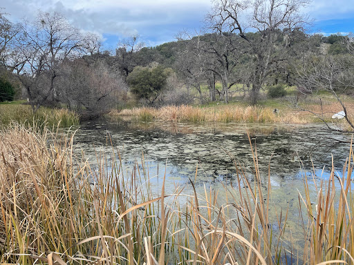 Shopping Mall «Union Square, San Francisco», reviews and photos, 333 Post St, San Francisco, CA 94108, USA