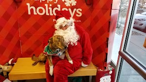 Petco - photo 32