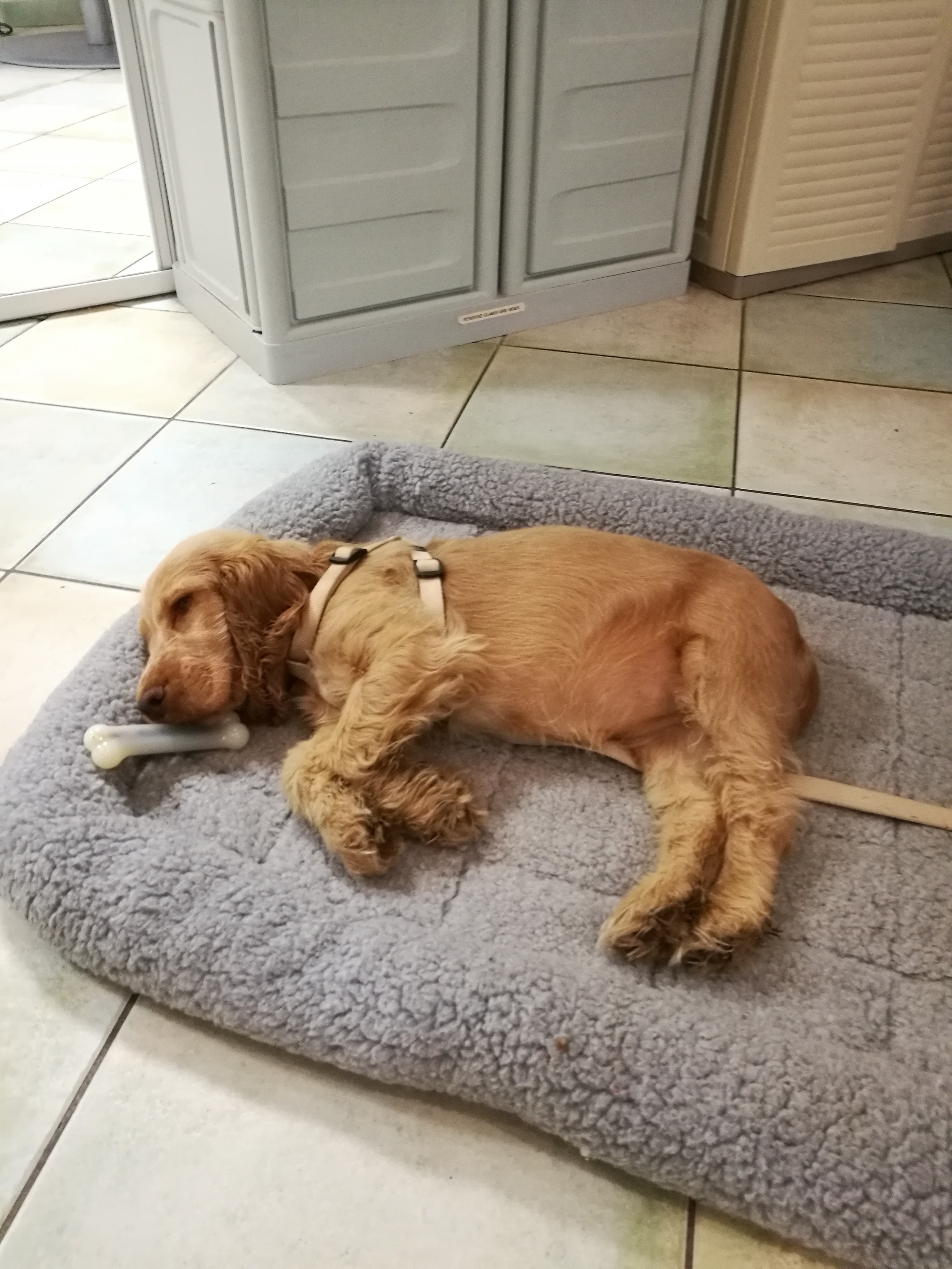 Photo n° 1 de l'avis de Julien.A fait le 13/07/2019 à 13:26