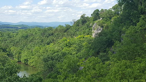 General Contractor «Craig Construction LLC», reviews and photos, 948 Battlefield Bluff Dr, New Market, VA 22844, USA