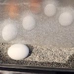 Photo n°22 de l'avis de Kerstin. fait le 29/03/2024 à 21:17 sur le  ibis Munich City West à Munich