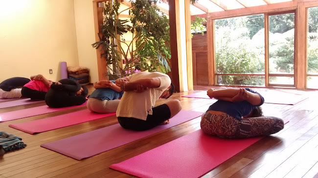 Anjali Yoga - Puerto Varas - Centro de yoga