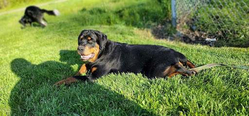 197 Hamburg Turnpike, Wayne, NJ 07470, USA