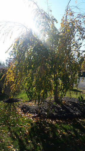 Winery «Cream Ridge Winery», reviews and photos, 145 County Rd 539, Cream Ridge, NJ 08514, USA