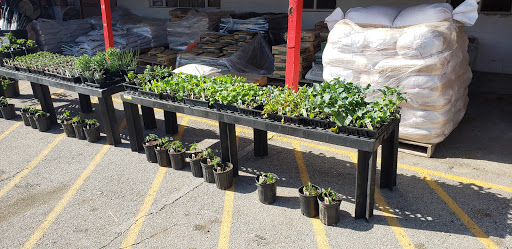 Hardware Store «J-town Hardware and Rental», reviews and photos, 10513 Watterson Trail, Jeffersontown, KY 40299, USA