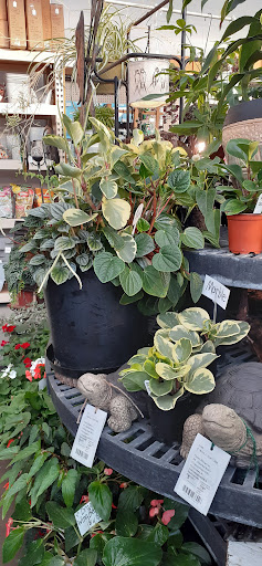 Home Improvement Store «Longeneckers True Value», reviews and photos, 127 Doe Run Rd, Manheim, PA 17545, USA