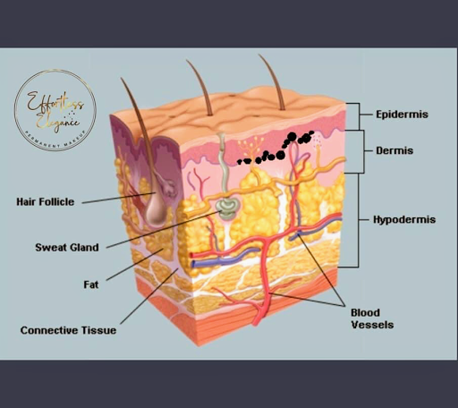 Explore book tattoo ideas small, creative tattoo ideas in Johnston, available at Brows & Body