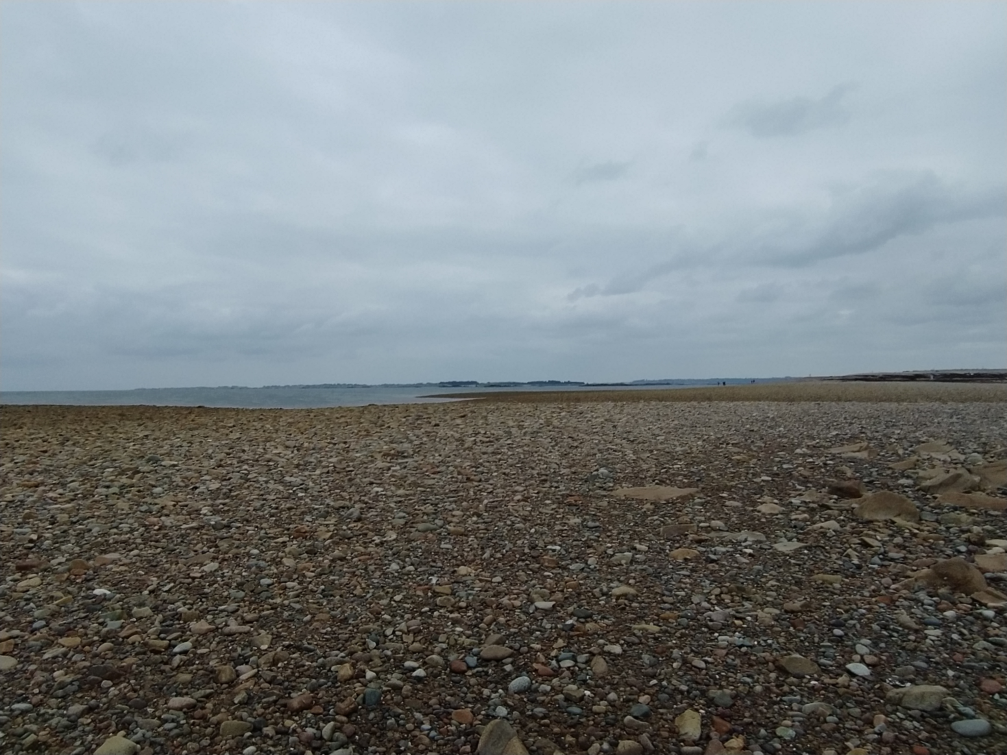 Photo n° 1 de l'avis de pji.i fait le 16/08/2021 à 16:46