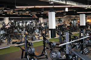 Powerhouse Gym Fort Lauderdale at the Galleria Mall