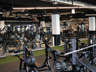 Powerhouse Gym Fort Lauderdale at the Galleria Mall