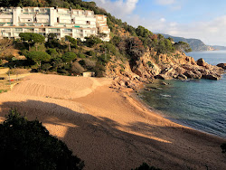Photo de Cala Salionc avec un niveau de propreté de très propre