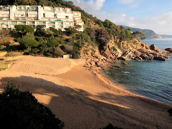 Cala Salionc