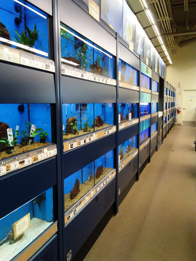 Pet Supply Store «Petco Animal Supplies», reviews and photos, 190 Quality Dr, Hooksett, NH 03106, USA