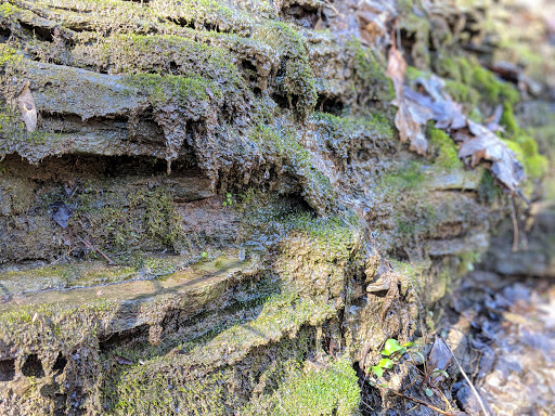 Art Museum «The Frick», reviews and photos, 7227 Reynolds St, Pittsburgh, PA 15208, USA