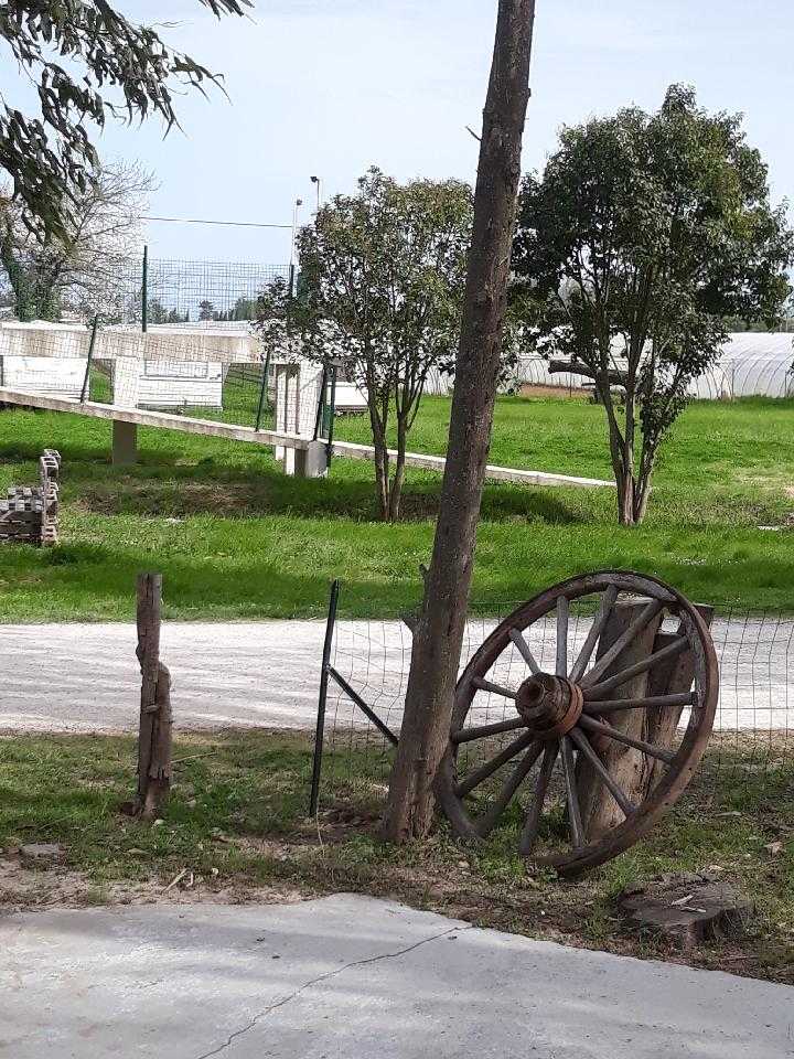 Photo n° 5 de l'avis de Noemie.o fait le 03/05/2018 à 16:45