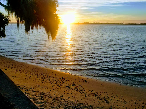 Park «Philippe Park», reviews and photos, 2525 Philippe Pkwy, Safety Harbor, FL 34695, USA