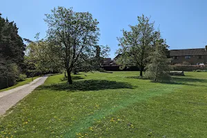 Cox's Meadow image